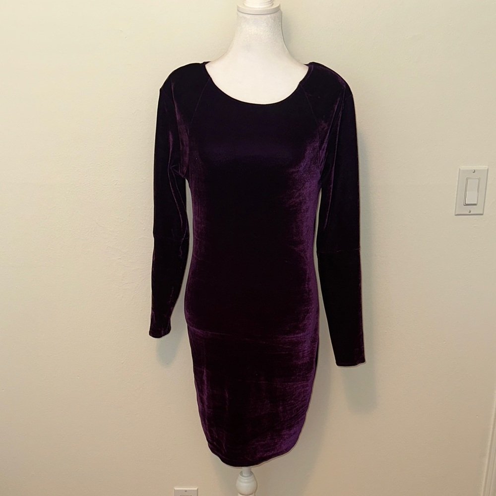 Bebe Elegant Velvet Purple Dress